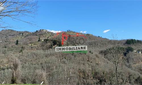 House of Character for Sale in Pieve Fosciana